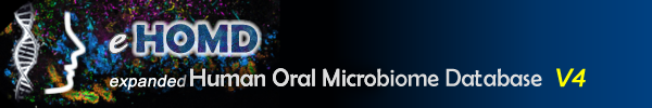 HOMD Banner